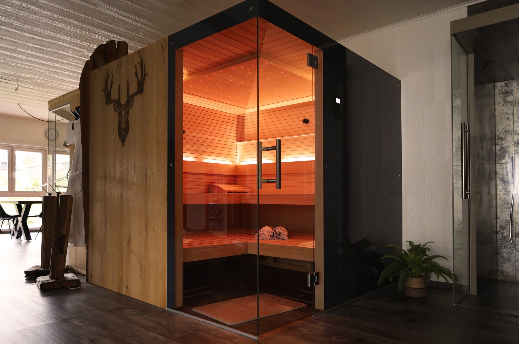 Sauna Sale, Saunamodell Classica mit Hirschmotiv, Farblicht und Sternenhimmel