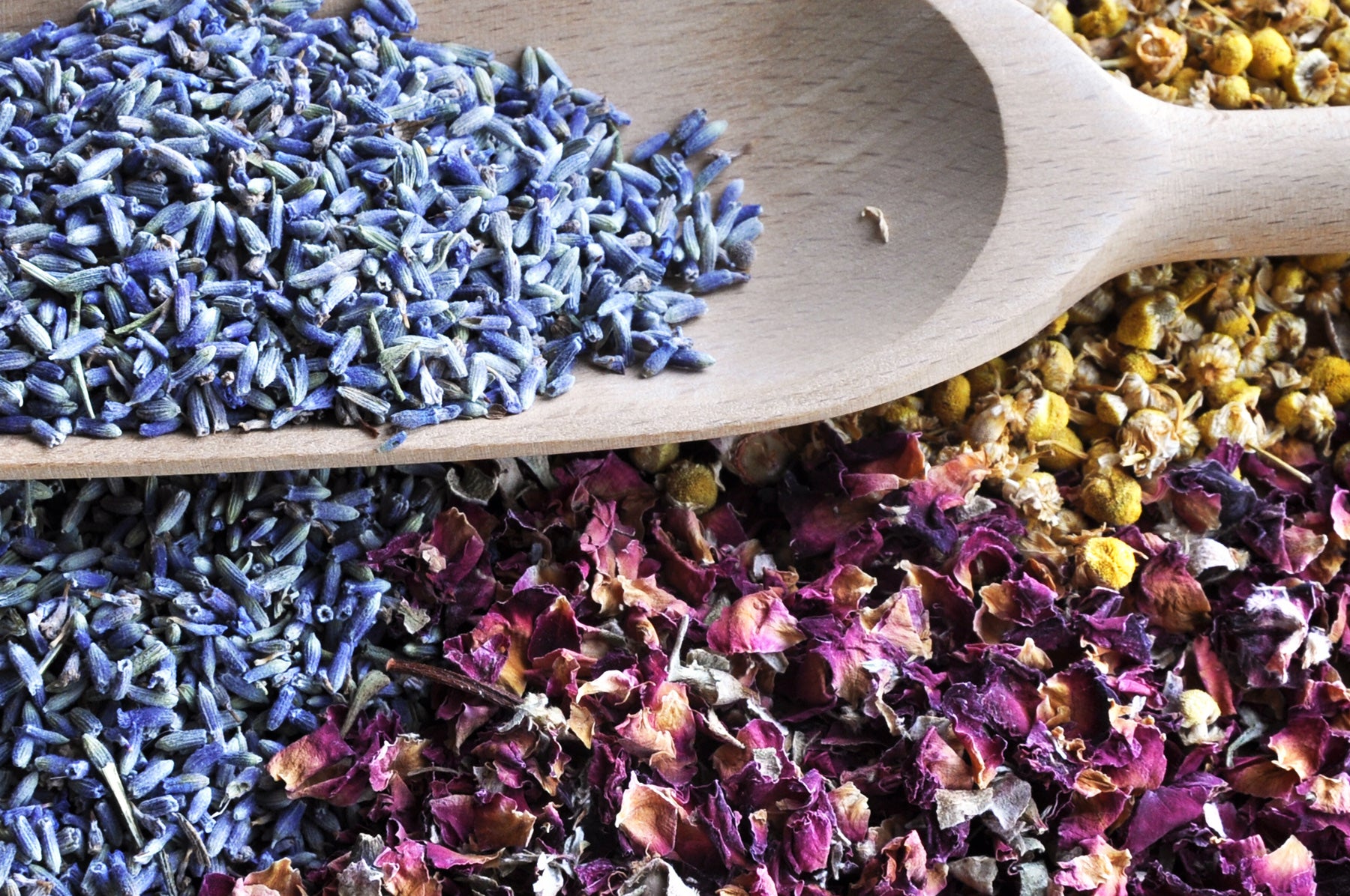 Kräuter für die Biosauna